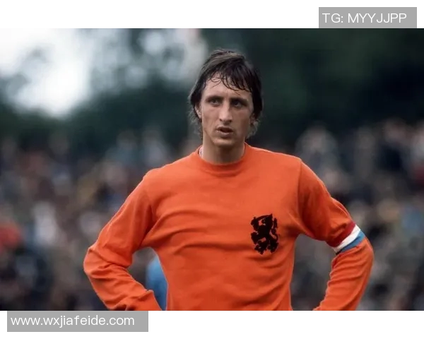 名字中含有纳字的足球明星盘点与成就分析