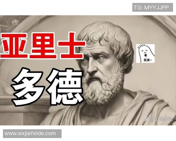 王少杰在职场拼搏中的成长故事与人生哲学探讨